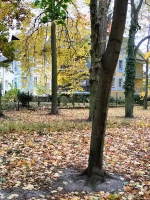 Ogród w obiekcie Park Studio