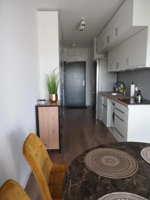 Kuchnia lub aneks kuchenny w obiekcie AURA Apartment