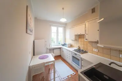 Kuchnia lub aneks kuchenny w obiekcie Magnolia Vision Apartment - Rynek