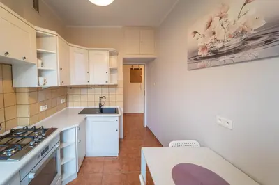 Kuchnia lub aneks kuchenny w obiekcie Magnolia Vision Apartment - Rynek