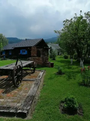 Przyroda w pobliżu tej kwatery prywatnej