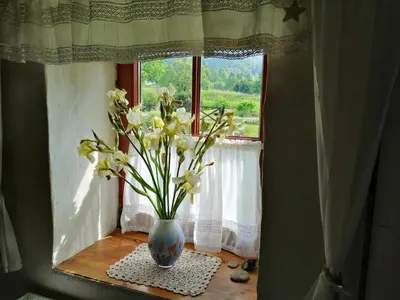 Ogród w obiekcie Eskapada