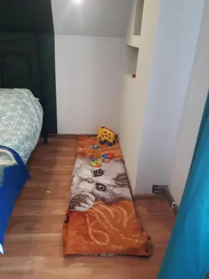 Łóżko lub łóżka w pokoju w obiekcie Apartament u Dany Las wita Was w otoczeniu gór i dzikiej przyrody