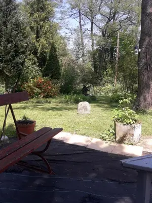 Ogród w obiekcie Apartament u Dany Las wita Was w otoczeniu gór i dzikiej przyrody
