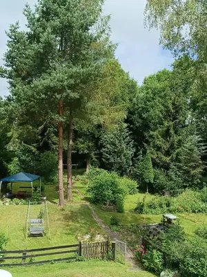 Ogród w obiekcie Apartament u Dany Las wita Was w otoczeniu gór i dzikiej przyrody