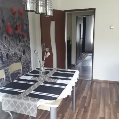 Apartament u Dany Las wita Was w otoczeniu gór i dzikiej przyrody