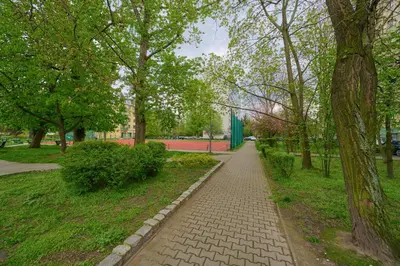 Ogród w obiekcie Apartament Studzienna Wrocław by Noclegi Renters