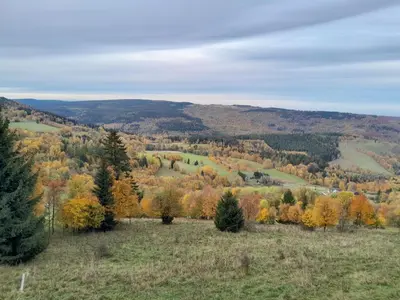 Przyroda w pobliżu tego apartamentu