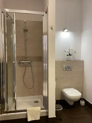 Łazienka w obiekcie Boutique Apartments - Elegant 1906 Period (95m2)