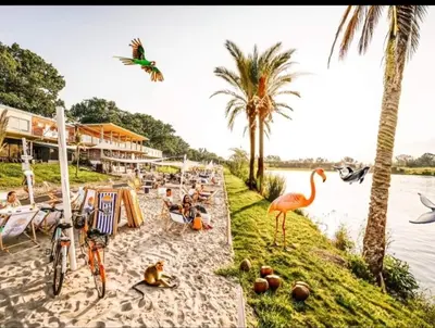 Plan piętra w obiekcie Night Host Trzebnicka 56 free parking