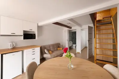Kuchnia lub aneks kuchenny w obiekcie Apartamenty FILIP w Kudowie-Zdroju