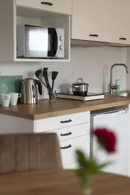 Kuchnia lub aneks kuchenny w obiekcie Apartamenty FILIP w Kudowie-Zdroju
