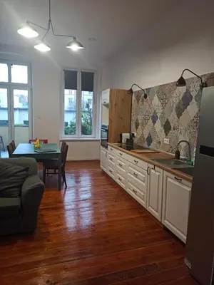 Kuchnia lub aneks kuchenny w obiekcie Apartament PAPROTKA 100m