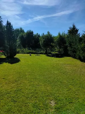 Przyroda w pobliżu tego apartamentu