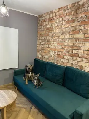 Część wypoczynkowa w obiekcie Apartament Rose Valley Dwa Zero