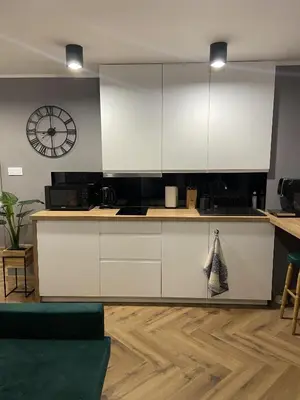 Kuchnia lub aneks kuchenny w obiekcie Apartament Rose Valley Dwa Zero