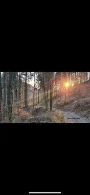 Przyroda w pobliżu tego domu w stylu alpejskim