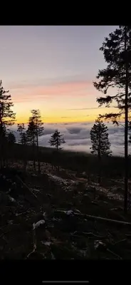 Przyroda w pobliżu tego domu w stylu alpejskim