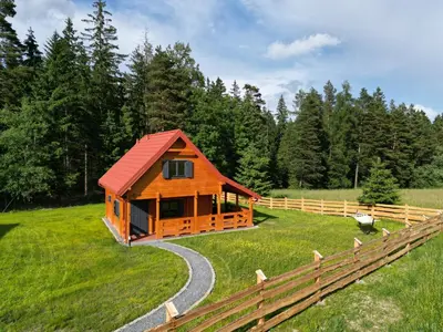 Przyroda w pobliżu tego domu w stylu alpejskim