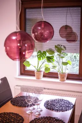 Plan piętra w obiekcie Paprotkowy Zakątek