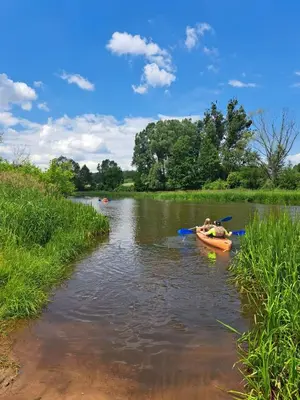 Widok na rzekę nieopodal tego domu wakacyjnego