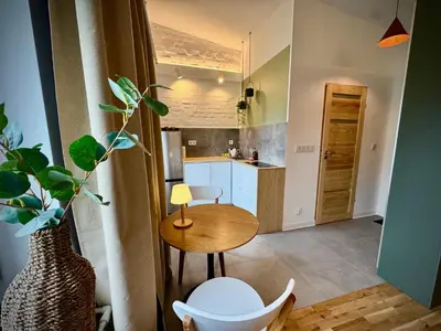 Kuchnia lub aneks kuchenny w obiekcie Apartamenty Młyńska 3A