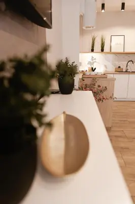 Kuchnia lub aneks kuchenny w obiekcie Apartament 8 Rozmarynowa 2 Residence Opole
