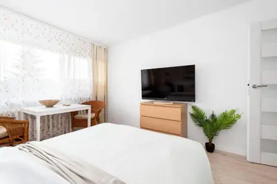 Telewizja i/lub zestaw kina domowego w obiekcie Kairos Apartments- OPAL - ścisłe centrum
