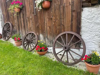 Ogród w obiekcie Dom Pod Dębem Agroturystyka