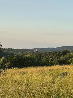 Przyroda w pobliżu tego gospodarstwa agroturystycznego