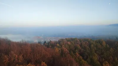 Przyroda w pobliżu tego pensjonatu