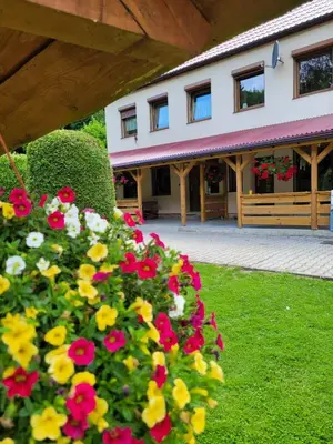Ogród w obiekcie Agroturystyka Zielona Dolina