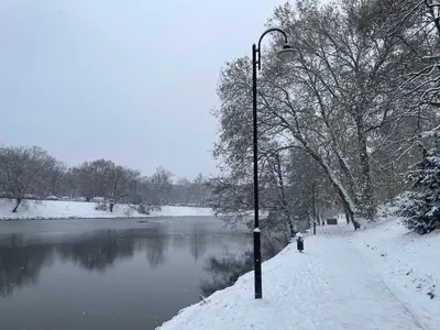 Przyroda w pobliżu tego apartamentu