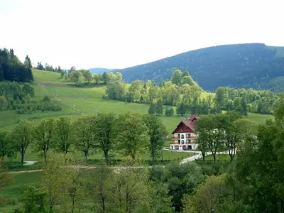 Przyroda w pobliżu tego obiektu B&B