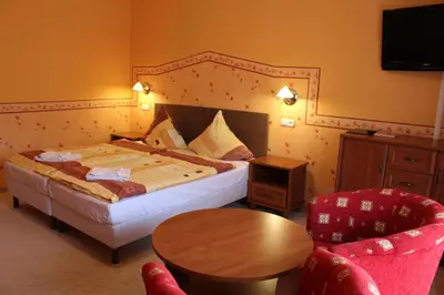 Łóżko lub łóżka w pokoju w obiekcie Gościniec Willa Sandra