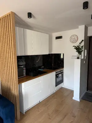Kuchnia lub aneks kuchenny w obiekcie Studio szczawienko