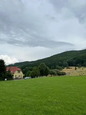 Przyroda w pobliżu tego apartamentu
