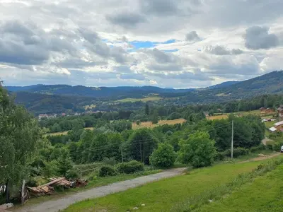 Przyroda w pobliżu tego domu w stylu alpejskim