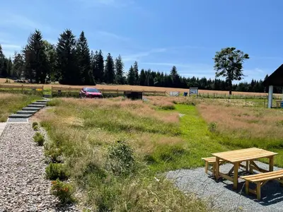 Ogród w obiekcie Apartamenty Spalona Sport
