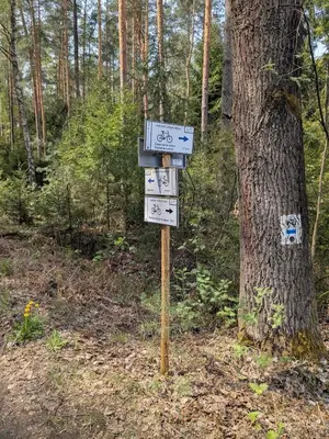 Plan piętra w obiekcie Chata w lesie