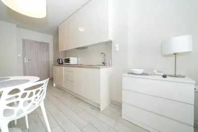 Kuchnia lub aneks kuchenny w obiekcie VacationClub - Ischgl Apartament 39
