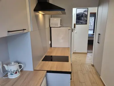 Kuchnia lub aneks kuchenny w obiekcie Apartament Olszewskiego