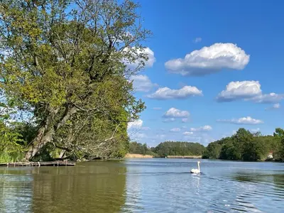 Przyroda w pobliżu tego domu wakacyjnego