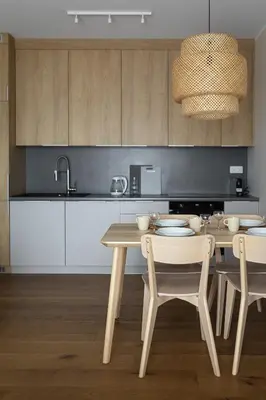 Kuchnia lub aneks kuchenny w obiekcie Apartament Miodowy - Penthouse z balkonem
