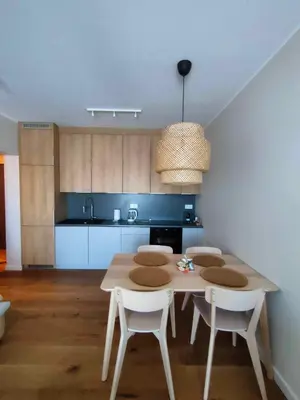 Kuchnia lub aneks kuchenny w obiekcie Apartament Miodowy - Penthouse z balkonem