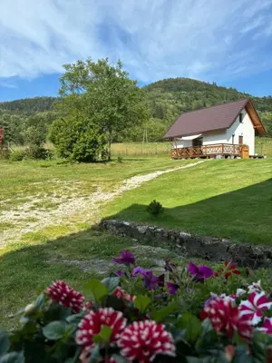 Przyroda w pobliżu tego domu w stylu alpejskim