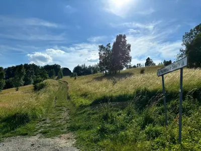 Przyroda w pobliżu tego domu w stylu alpejskim