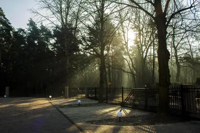 Plan piętra w obiekcie Hotel Modrzewiowy Dwór