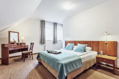 Łóżko lub łóżka w pokoju w obiekcie Hotel Modrzewiowy Dwór