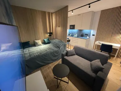 Telewizja i/lub zestaw kina domowego w obiekcie Blue River Apartment - Wrocław